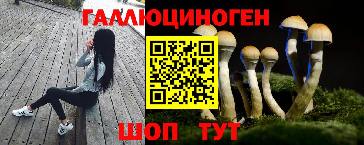 Галлюциногенные грибы мицелий  Вход с VPN  Кстово 