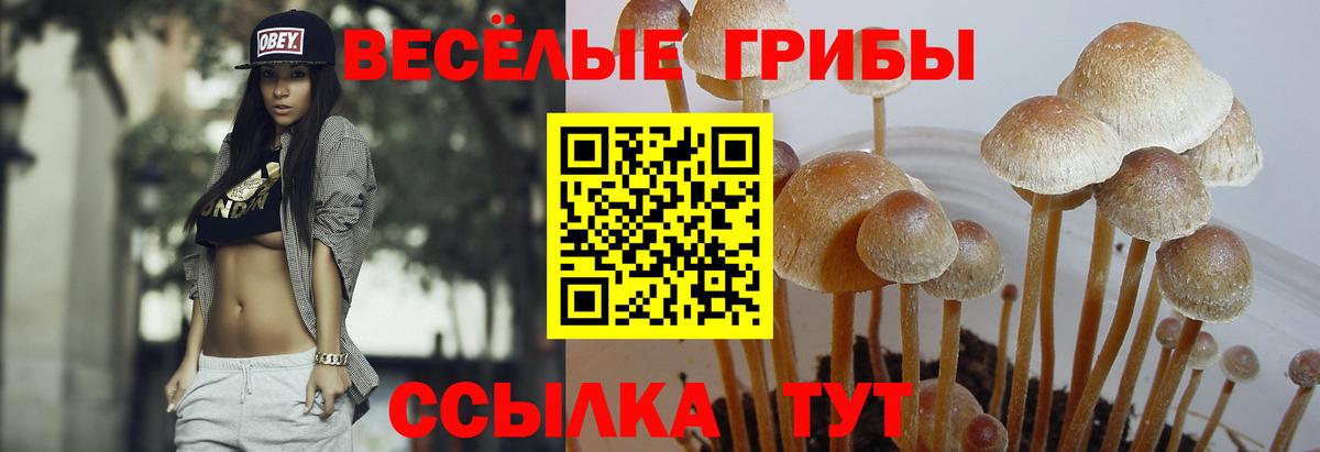 Галлюциногенные грибы мухоморы Кстово